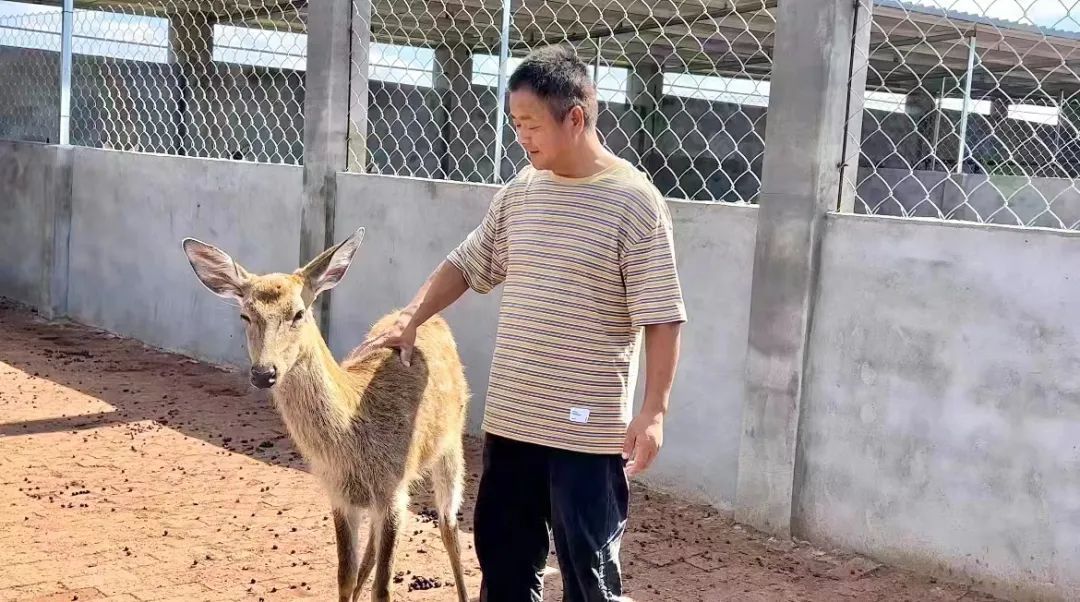手机赌场官方软件